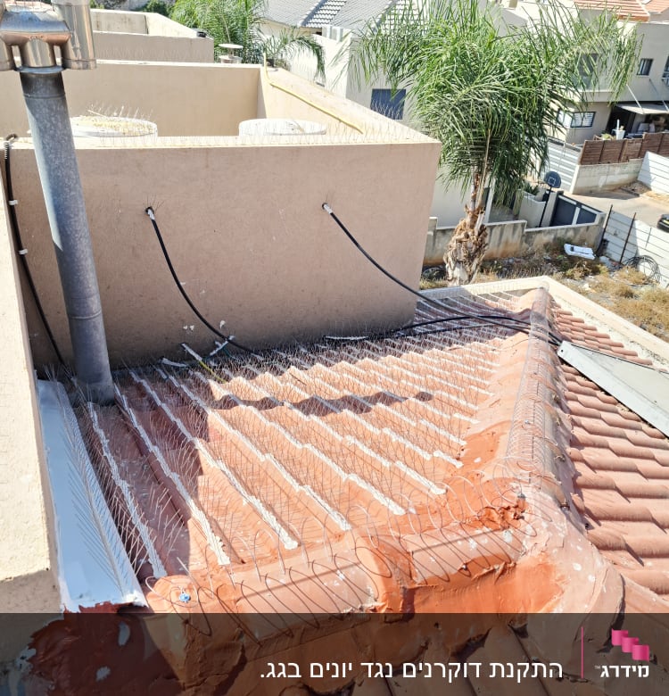 התקנת דוקרנים נגד יונים בגג.
